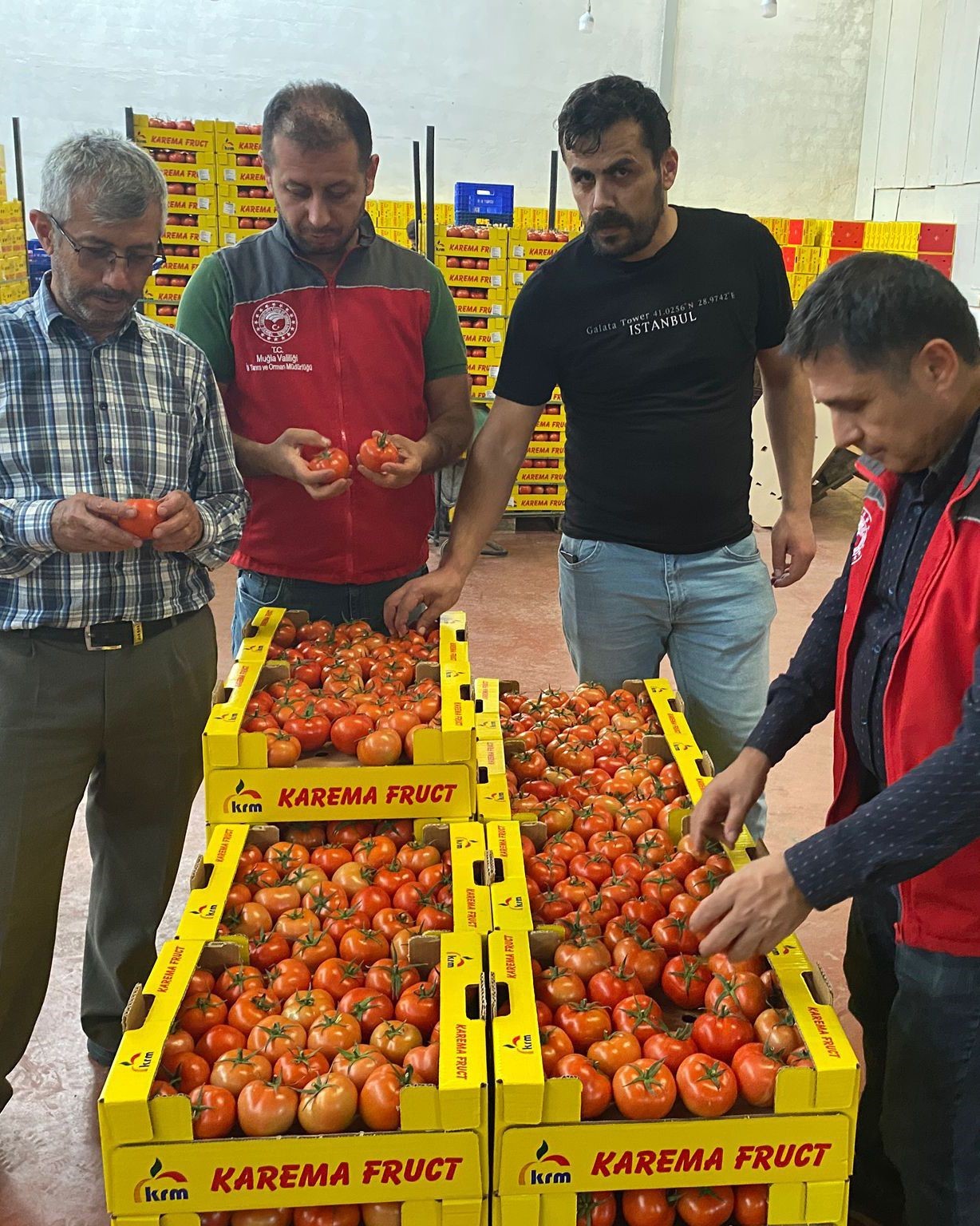 ORTACA’DA AVRUPA BİRLİĞİ ÜLKELERİ, KUZEY KIBRIS TÜRK CUMHURİYETİ VE BOSNA HERSEK’E İHRAÇ EDİLECEK...