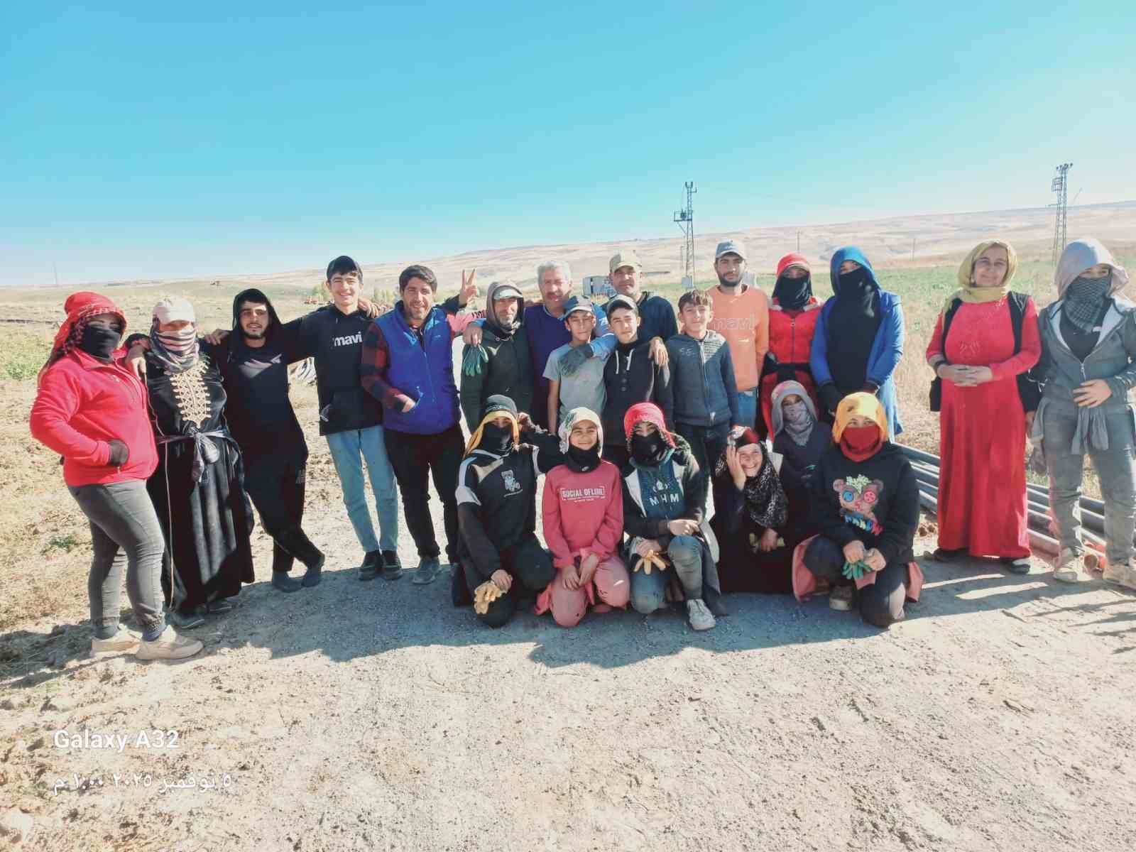 PATNOS İLÇESİNDE PATATES HASADI SONA ERDİ.