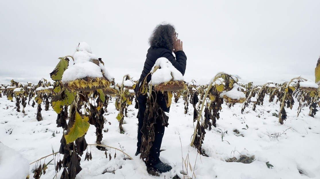 PROF. DR. MEHMET KAVUKCU, KARLI BİR AYÇİÇEĞİ TARLASINDA GERÇEKLEŞTİRDİĞİ "EGO" PERFORMANSIYLA...