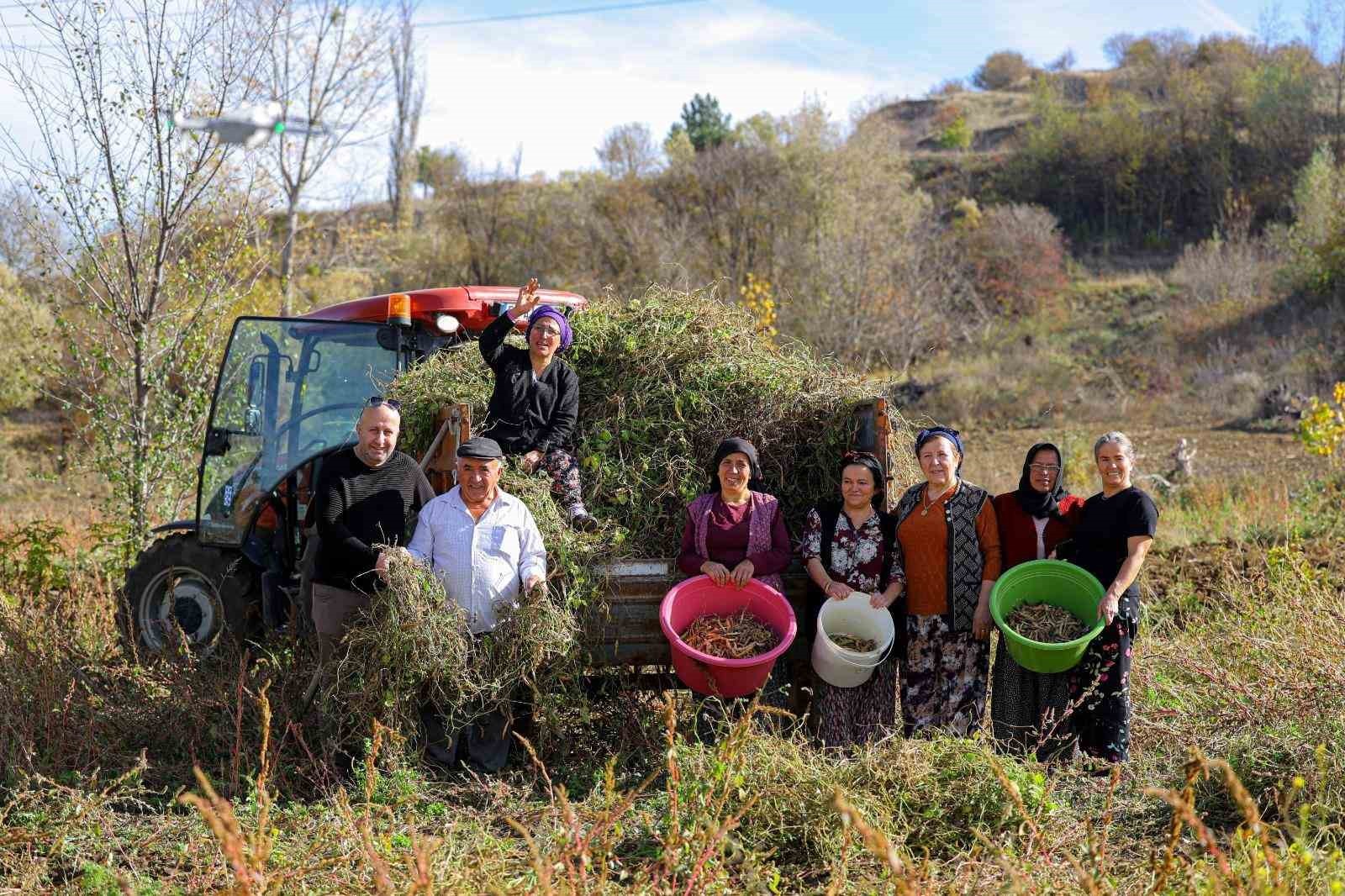 PROJE ÇERÇEVESİNDE LADİK’TE FAALİYET GÖSTEREN 70 ÇİFTÇİYE YÖREYE ÖZGÜ LADİK FASULYESİ TOHUMU...