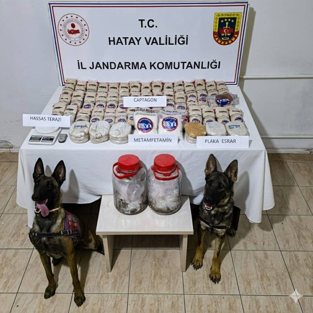 REYHANLI’DA SAZLIK ALANDA 100 BİN ADET UYUŞTURUCU HAP ELE GEÇİRİLDİ