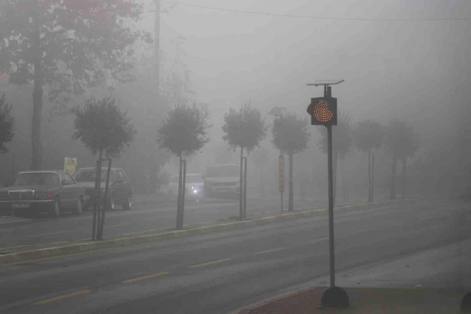 SAKARYA'DA SABAH SAATLERİNDE ETKİLİ OLAN SİS, ŞEHRİN BİRÇOK NOKTASINI ETKİSİ ALTINA ALDI. GÖRÜŞ...