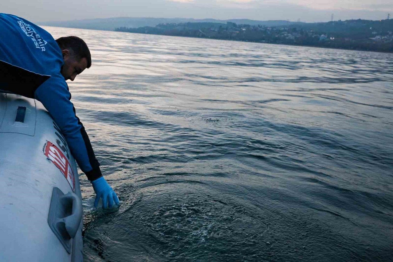SAKARYA'NIN İÇME SUYU KAYNAĞI SAPANCA GÖLÜ'NDE YÜZEYDE GÖRÜLEN KABARMA VE KABARCIKLAR ÜZERİNE...