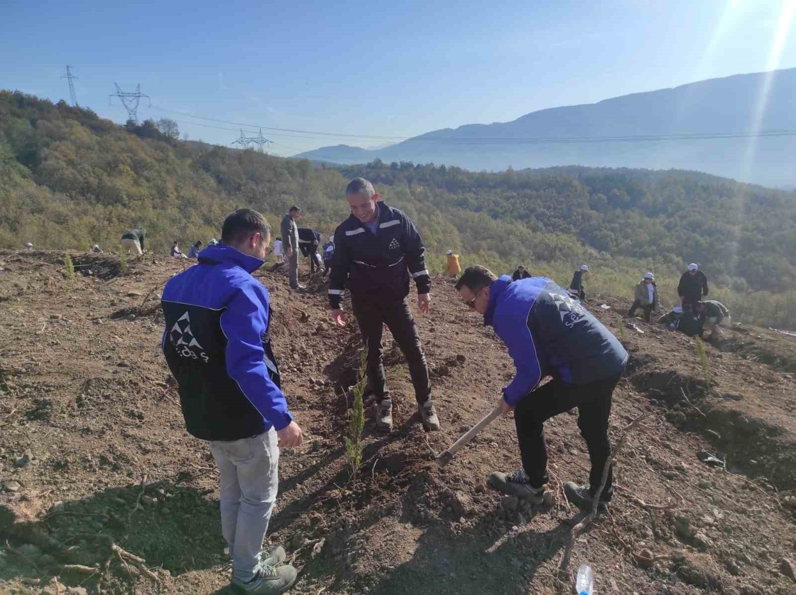 SAKARYA ELEKTRİK DAĞITIM A.Ş. (SEDAŞ), MİLLİ AĞAÇLANDIRMA GÜNÜ KAPSAMINDA KOCAELİ, SAKARYA, DÜZCE...