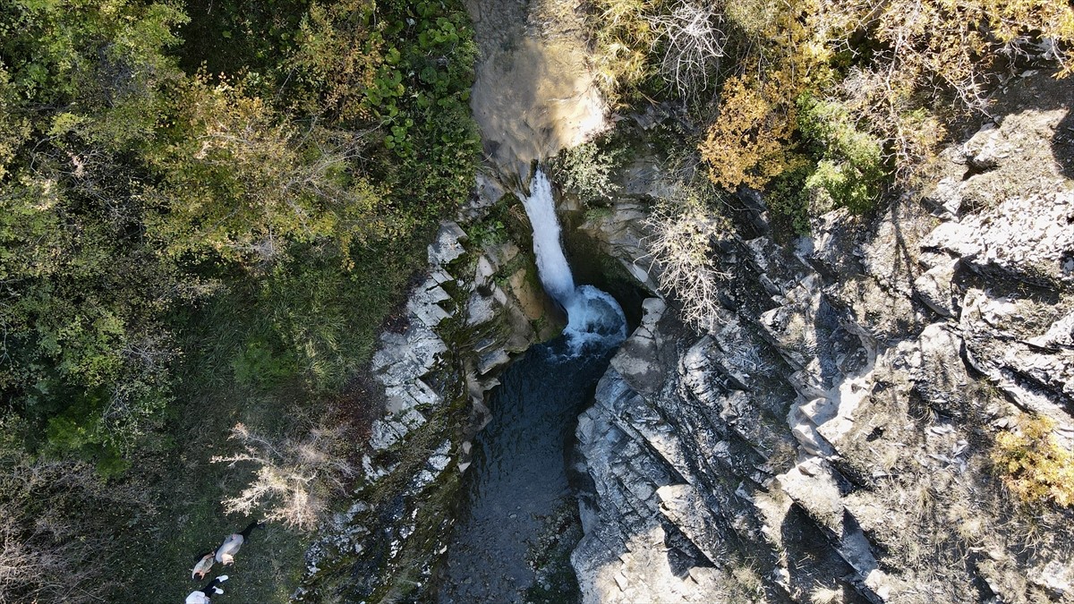  Samsun'un Bafra, Vezirköprü ve Havza ilçelerinin kesişme noktasında yer alan ve yeşillikler...