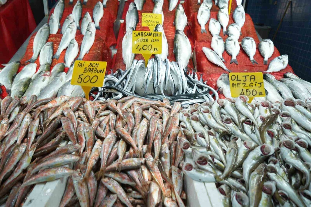 SAMSUN BÜYÜKŞEHİR BELEDİYESİ BALIK HALİNDE FİYATLAR ADETA EL YAKIYOR. HALDEKİ BALIK TEZGÂHLARINDA...