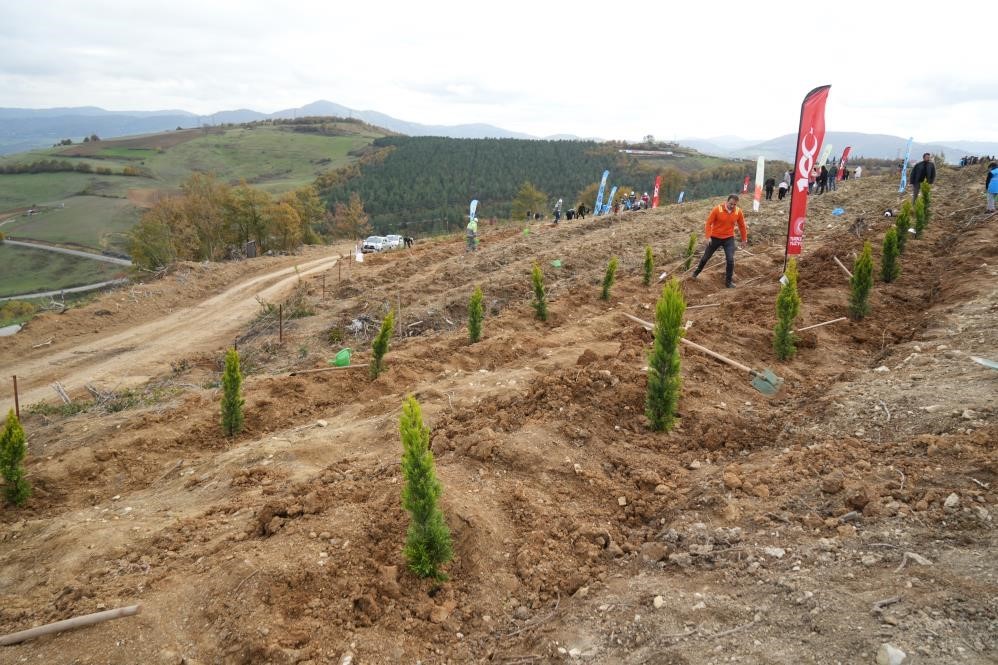 SAMSUN ORMAN İŞLETME MÜDÜRLÜĞÜ’NDEN ALINAN BİLGİLERE GÖRE, 11 KASIM MİLLİ AĞAÇLANDIRMA GÜNÜ...