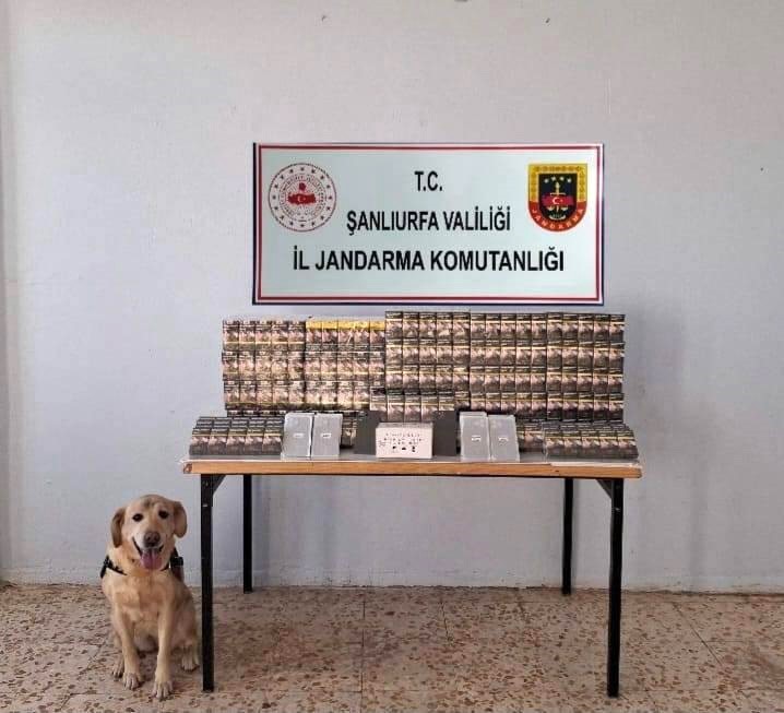 ŞANLIURFA’DA 5 BİN 210 PAKET KAÇAK SİGARA ELE GEÇİRİLDİ