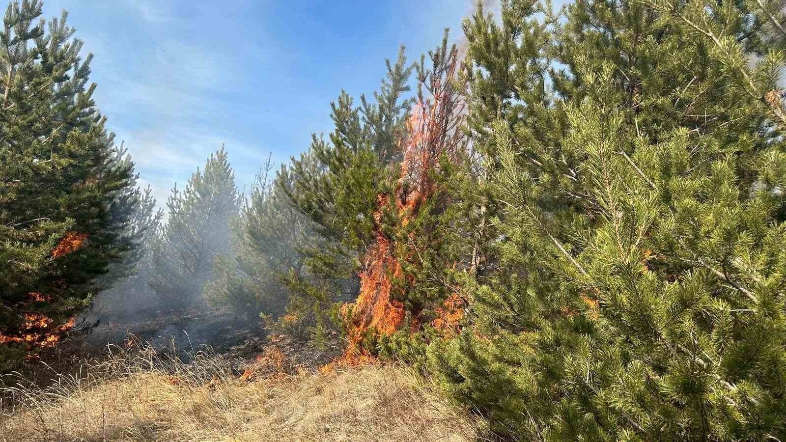 SARIKAMIŞ ORMANLARINDA ÇIKAN ÖRTÜ YANGINI EKİPLERİ SEFER ETTİ. BÖLGEYE İNTİKAL EDEN EKİPLERİ...