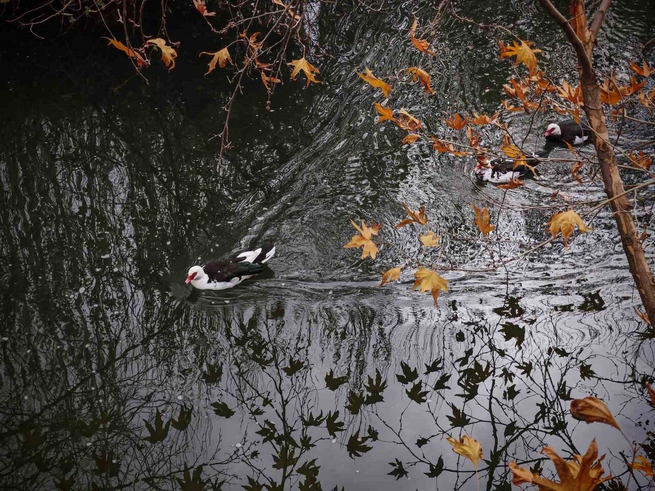 SAVUR DOĞAL GÜZELLİĞİYLE ZİYARETÇİLERİ MEST EDİYOR