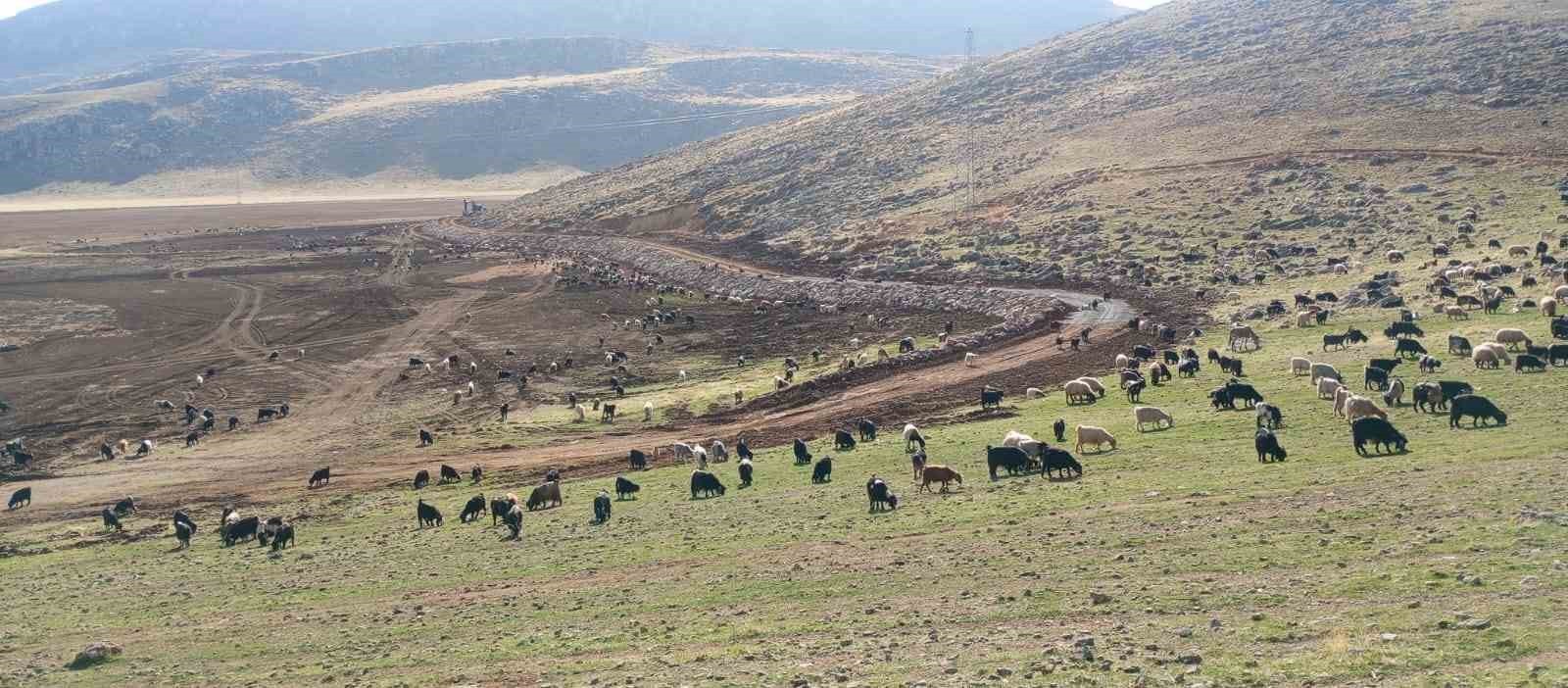 SİİRT'İN PERVARİ İLÇESİNDE TAŞKIN RİSKİNİ AZALTMA VE TAŞ TAHKİMAT ÇALIŞMALARI...
