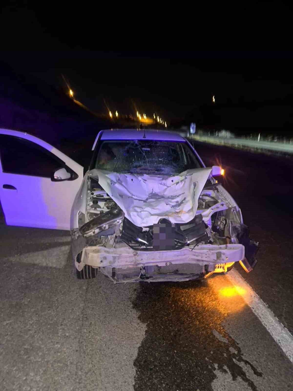 SİİRT’İN KURTALAN İLÇESİNDE OTOMOBİLİN ÇARPTIĞI AT TELEF OLDU.