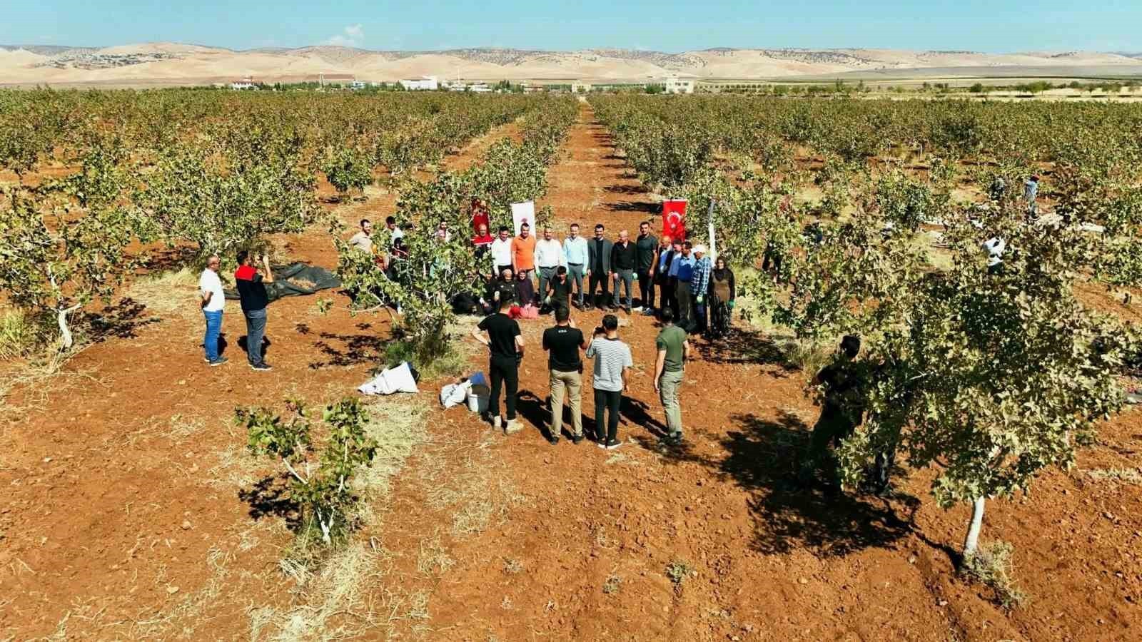 ŞIRNAK’IN İDİL İLÇESİNE BAĞLI KURTULUŞ KÖYÜ’NDE MUHTAR MEHMET NURİ GENÇ’İN ÖNCÜLÜĞÜNDE 13 BİN...