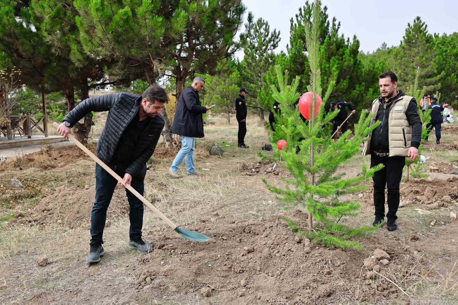 SİVAS'TA 21 FARKLI LOKASYONDA TOPLAM 90 BİN FİDAN TOPRAKLA BULUŞTU.