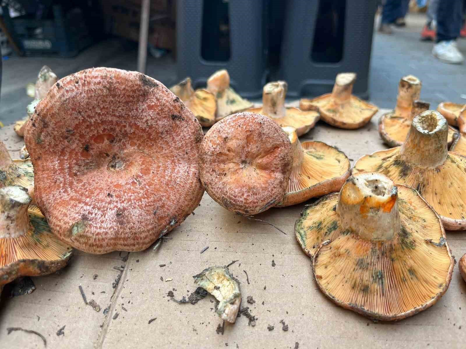 SON YAĞIŞLARIN ARDINDAN AYDINLI VATANDAŞLARIN SABIRSIZLIKLA BEKLEDİĞİ ÇINTAR MANTARI PAZARLARDA...