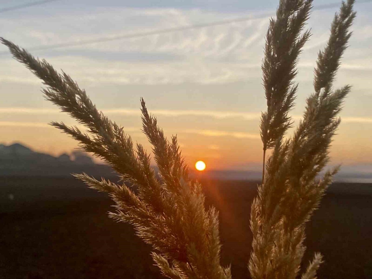 SONBAHARDA SARARAN YAPRAKLAR RENKLİ ŞÖLEN OLUŞTURDU
