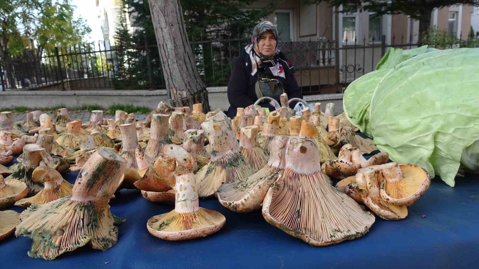 TAVŞANLI'DA MELKİ PAZARI OLUŞTU