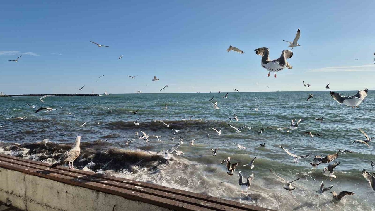 TEKİRDAĞ SÜLEYMANPAŞA’DA ÜÇ GÜNDÜR ETKİLİ OLAN LODOS NEDENİYLE BALIKÇI TEKNELERİ LİMANA...