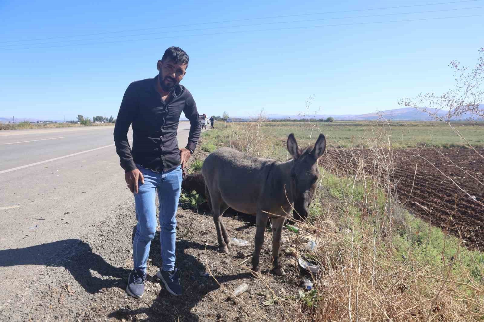 TELEF OLAN EŞEĞİN YAVRUSUNUN SAATLERCE ANNESİNİN YANINDAN AYRILMADIĞINI İFADE EDEN VATANDAŞ FARUK...