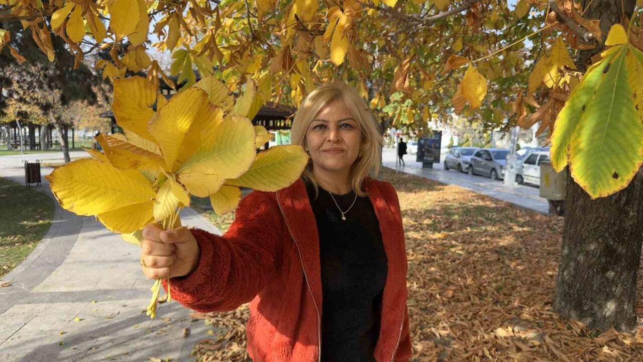 TOKAT'TA BELEDİYENİN SONBAHAR YAPRAKLARINI TEMİZLEMEME KARARIYLA PARK VE BAHÇELERDE OLUŞAN RENK...