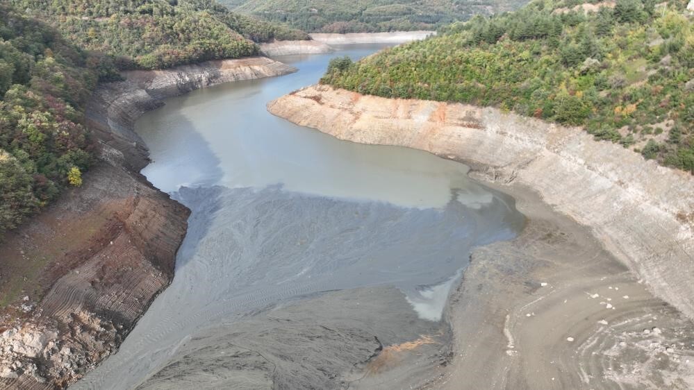 TOPRAK MAHSULLERİ OFİSİ (TMO), EKİM YAĞIŞLARININ, AYDIN, BALIKESİR, BİLECİK, BOLU, BURSA...