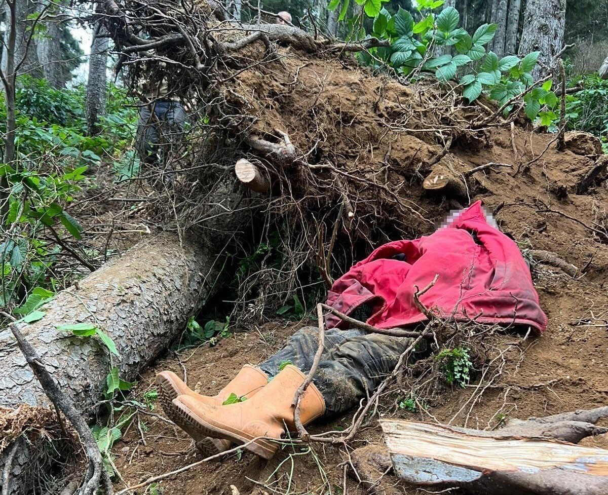 TRABZON’UN VAKFIKEBİR İLÇESİNE BAĞLI KARADAĞ YAYLASI’NDA ORMAN KESİMİ SIRASINDA BİR İŞÇİ HAYATINI...