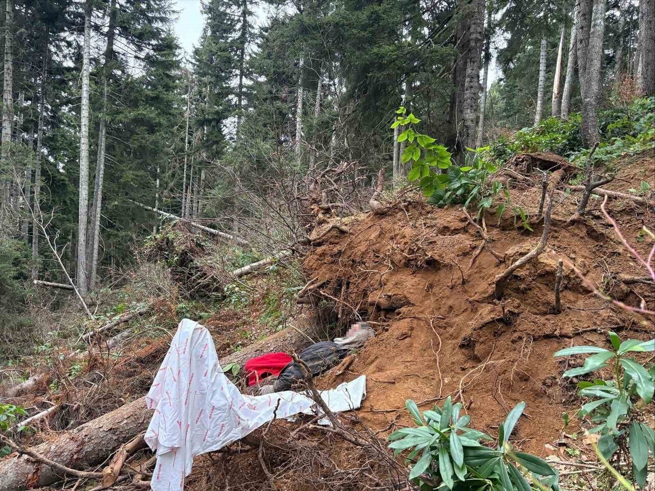 TRABZON’UN VAKFIKEBİR İLÇESİNE BAĞLI KARADAĞ YAYLASI’NDA ORMAN KESİMİ SIRASINDA BİR İŞÇİ HAYATINI...
