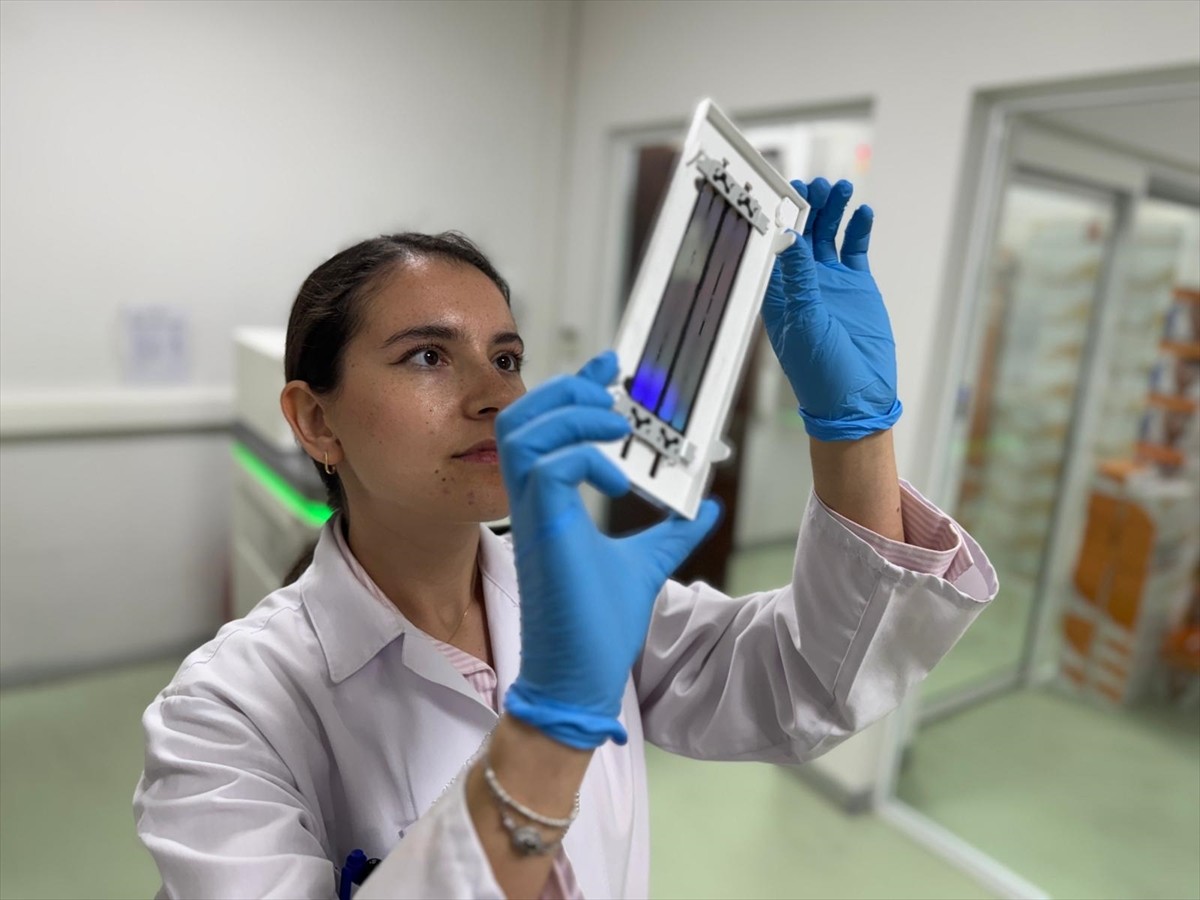 Türk bilim insanlarının, fareler üzerinde yaptığı çalışmada tespit ettiği, akciğer kanserinde...