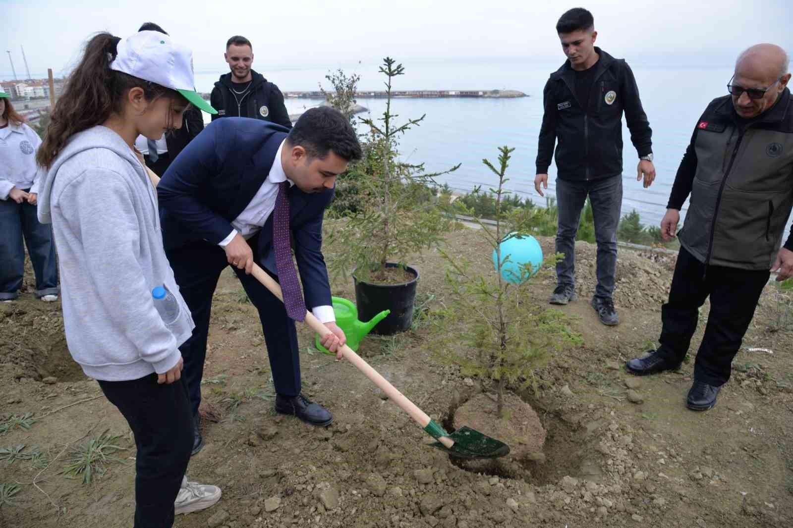 TÜRKELİ'DE "SEVDAMIZ YEŞİL VATAN" SEFERBERLİĞİ: FİDANLAR TOPRAKLA BULUŞTU TARIM VE ORMAN BAKANLIĞI...