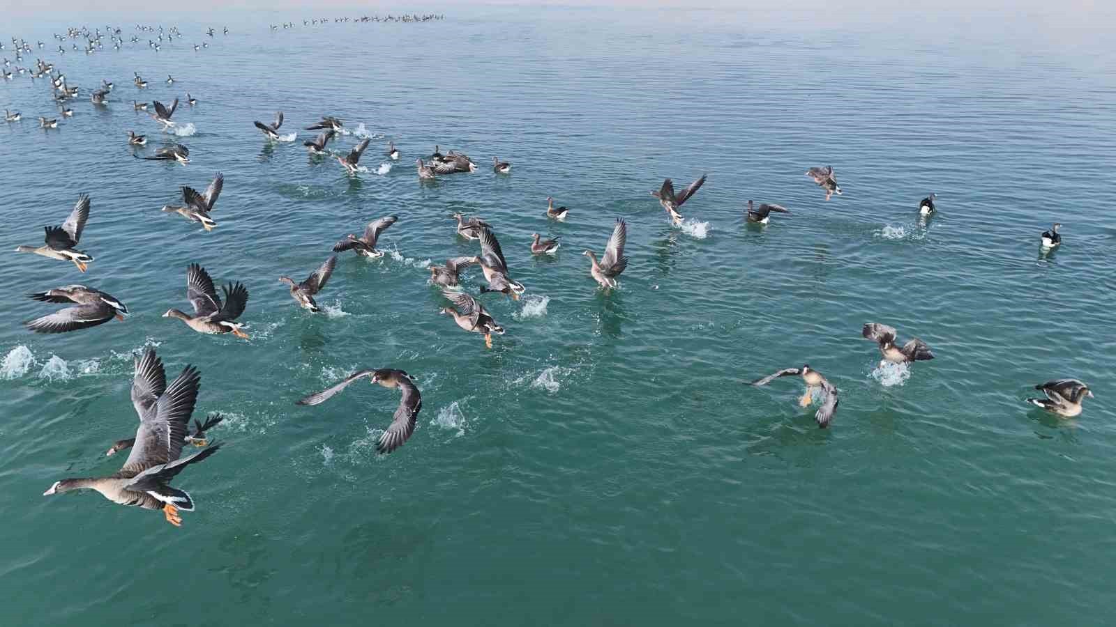 TÜRKİYE'NİN ÖNEMLİ SULAK ALANLARINDAN VE KUŞ CENNETLERİNDEN BİRİ OLAN ERÇEK GÖLÜ’NÜN YENİ...