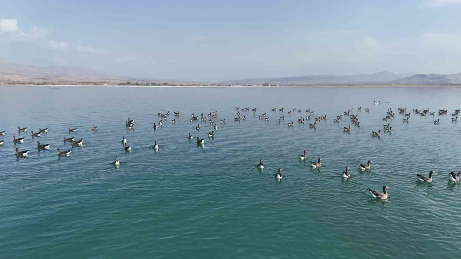 TÜRKİYE'NİN ÖNEMLİ SULAK ALANLARINDAN VE KUŞ CENNETLERİNDEN BİRİ OLAN ERÇEK GÖLÜ’NÜN YENİ...
