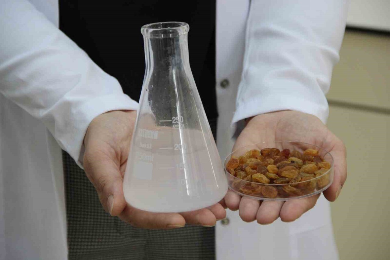 TÜRKİYE’NİN DÜNYA PAZARININ YÜZDE 32'SİNİ ELİNDE TUTARAK PAZAR LİDERİ OLDUĞU KURU ÜZÜM İHRACATINDA...