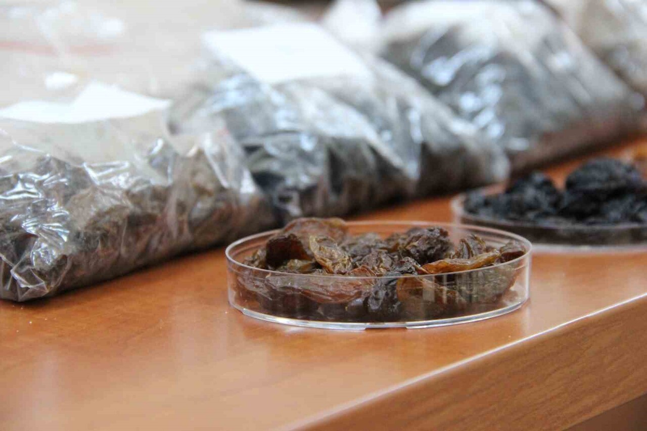 TÜRKİYE’NİN DÜNYA PAZARININ YÜZDE 32'SİNİ ELİNDE TUTARAK PAZAR LİDERİ OLDUĞU KURU ÜZÜM İHRACATINDA...