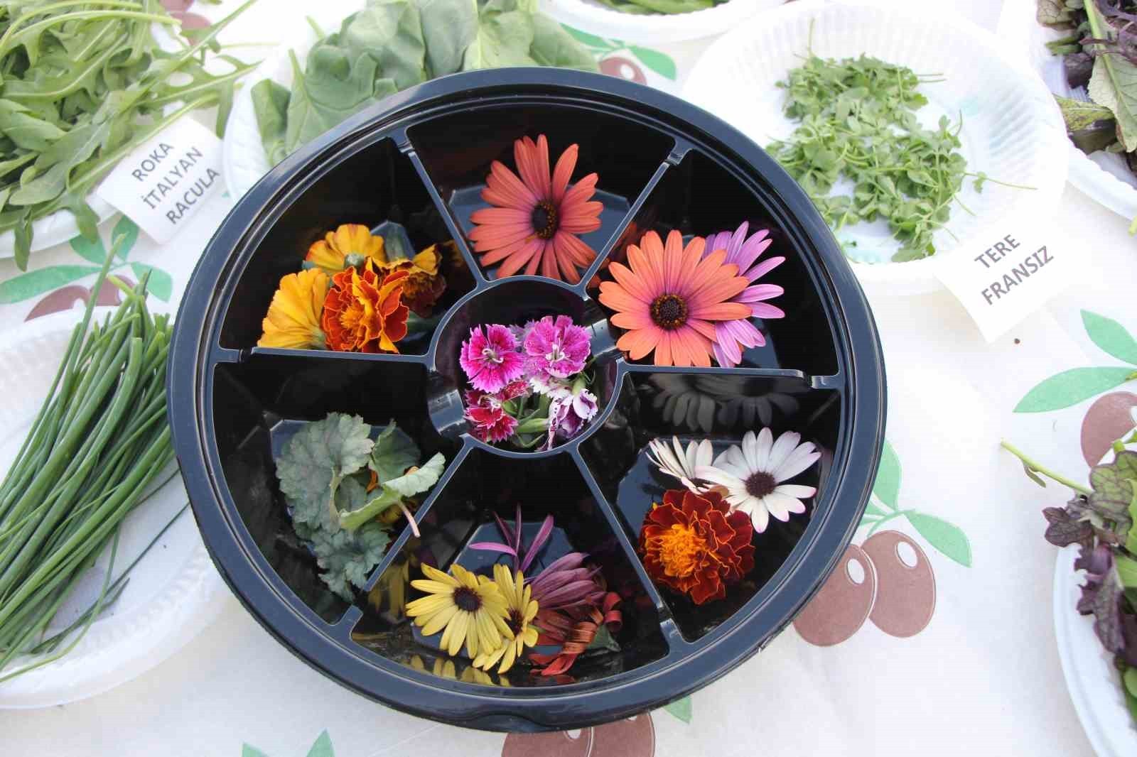 ÜNİVERSİTEDEN MEZUN OLDUKTAN SONRA 25 YIL TÜRKİYE’NİN BİRÇOK İLİNDE VE SON OLARAK İSTANBUL’DA GIDA...