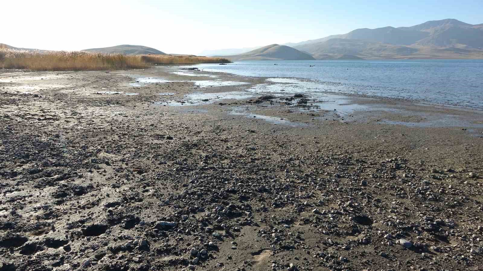 VAN'IN ÖNEMLİ SULAK ALANLARINDAN BİRİ OLAN ERÇEK GÖLÜ'NDE YAŞANAN SU ÇEKİLMESİYLE BİRLİKTE GÖL...
