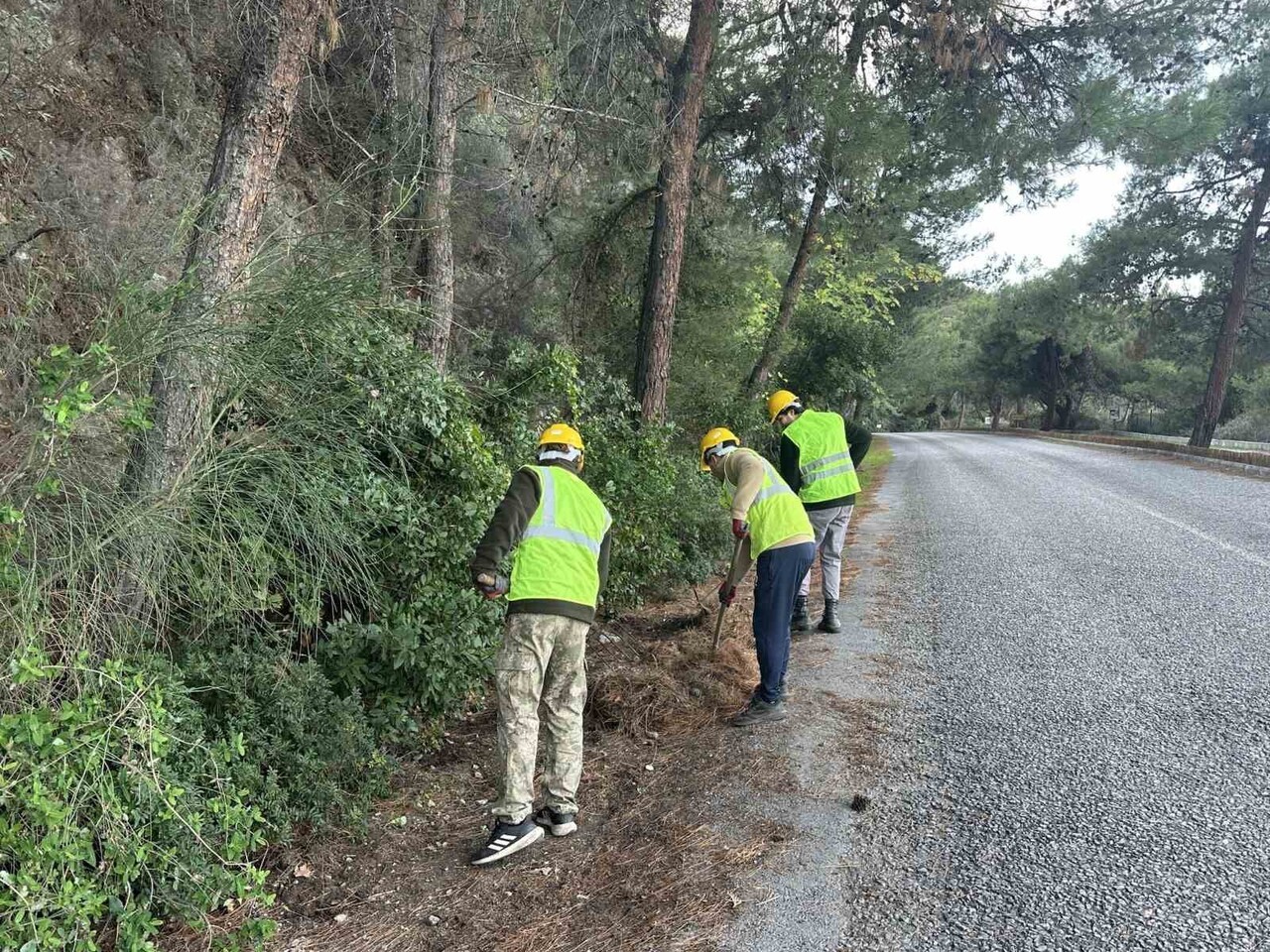 YABAN HAYATININ SON SIĞINAĞI KONUMUNDA BULUNAN DİLEK YARIMADASI MİLLİ PARKI’NDA YANGINLARA KARŞI...