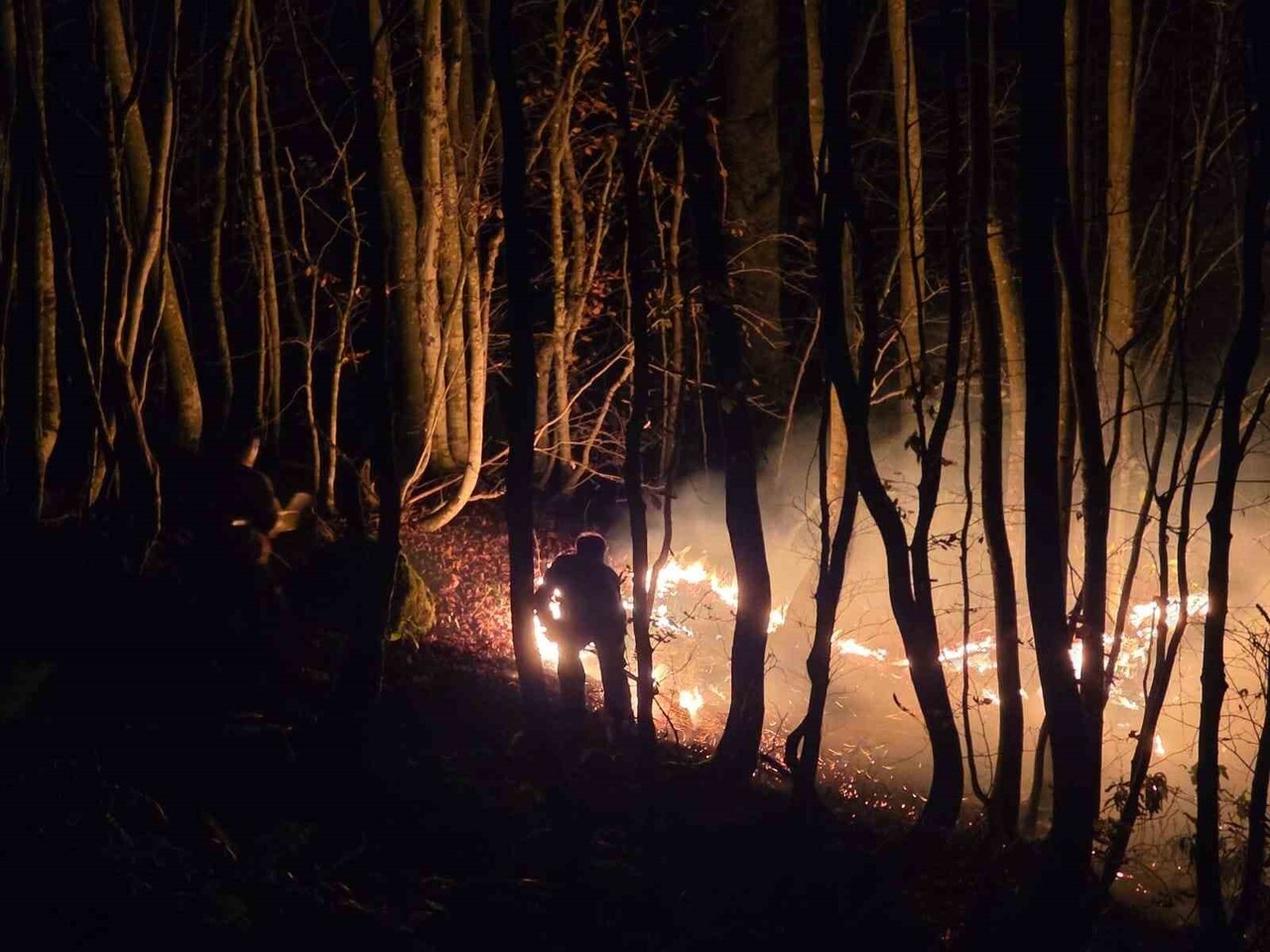 YANGIN BÖLGESİNE GELEN ORDU VALİ YARDIMCISI AYHAN DURMUŞ İLE KUMRU KAYMAKAM VEKİLİ MAKBULE ADACI...