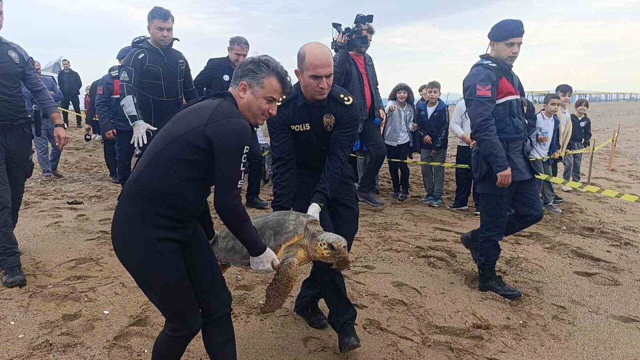 YARALI BULUNAN CARETTA CARETTA TEDAVİSİNİN ARDINDAN YENİDEN ÖZGÜRLÜĞE KAVUŞTU