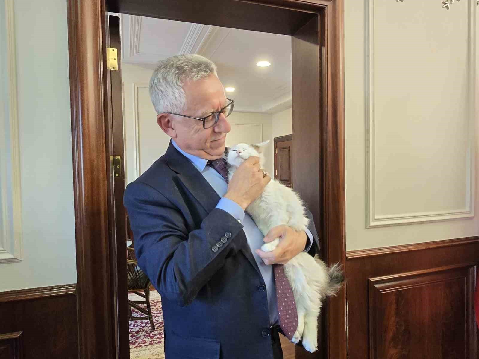 YOZGAT BELEDİYE BAŞKANI KAZIM ARSLAN HAYVAN SEVGİSİNİ HEM MAKAM ODASINDA BESLEDİĞİ KEDİLERİYLE HEM...