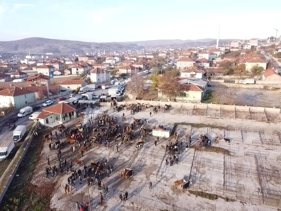 YOZGAT’IN ÇEKEREK İLÇESİNDE BİR SÜREDİR KAPALI OLAN HAYVAN PAZARI YENİDEN AÇILDI.-