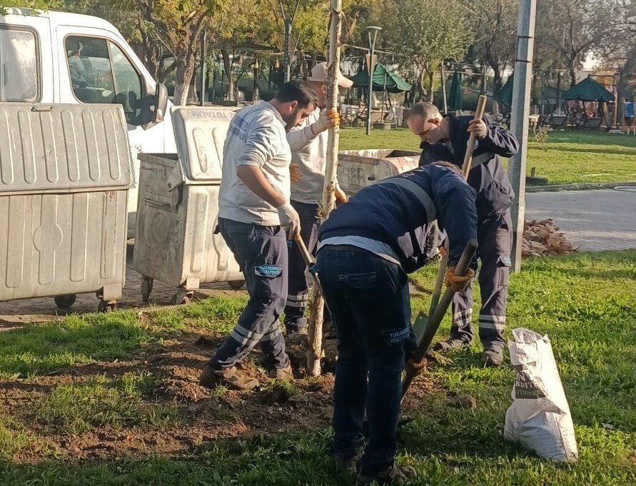 YUNUSEMRE BELEDİYESİ, İLÇEDE YEŞİL ALANLARI ARTIRMAK AMACIYLA AĞAÇLANDIRMA ÇALIŞMALARINA DEVAM...