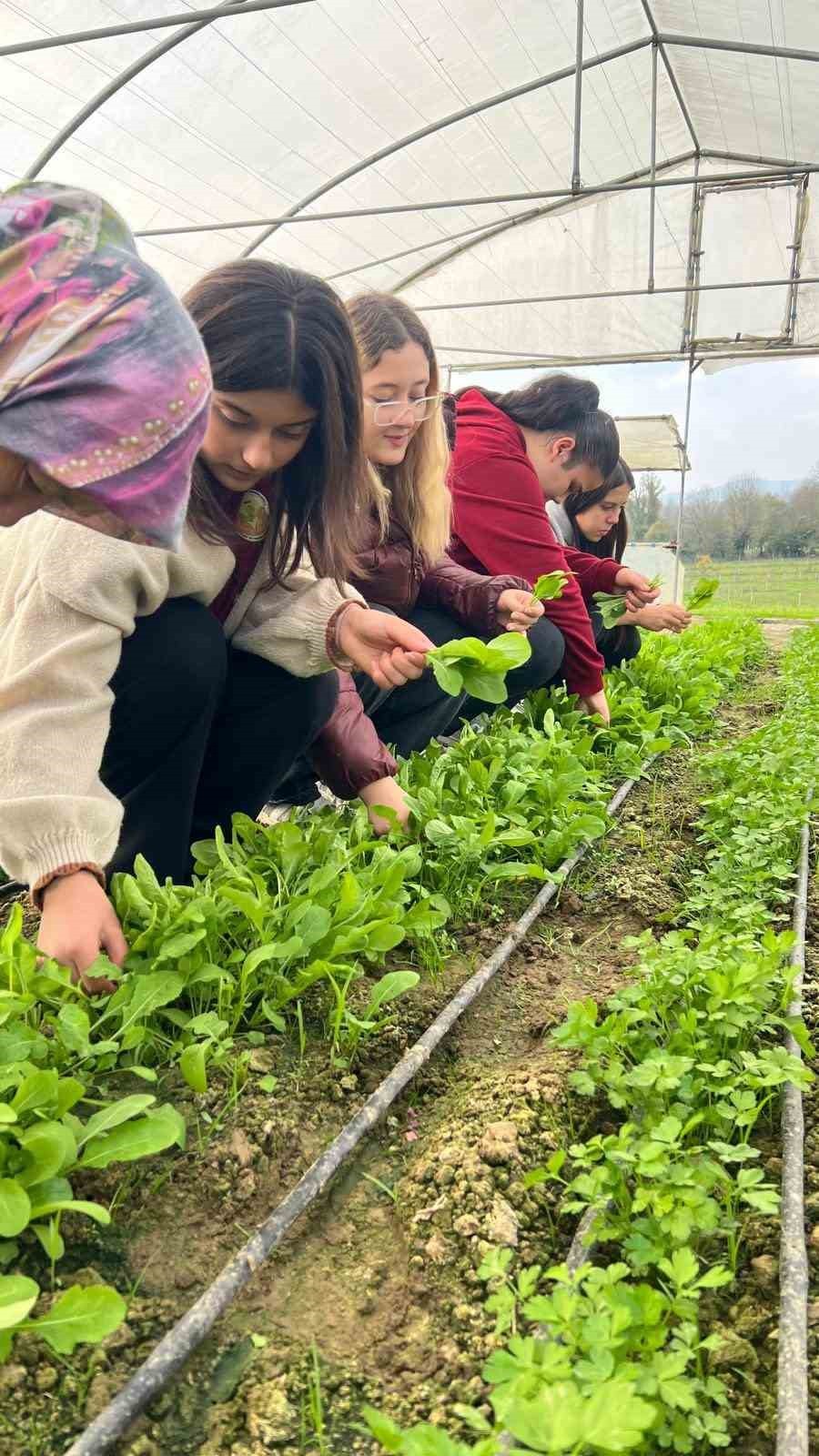 ZONGULDAK'IN ÇAYCUMA İLÇESİNDEKİ TARIM LİSESİ ÖĞRENCİLERİ, UYGULAMALI EĞİTİM KAPSAMINDA TERE VE...