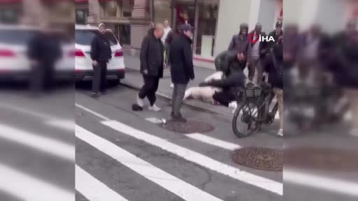 ABD’nin New York kentinde tasmalı olarak gezdirilen pitbull cinsi bir köpek, 1 yaşındaki çocuğu...