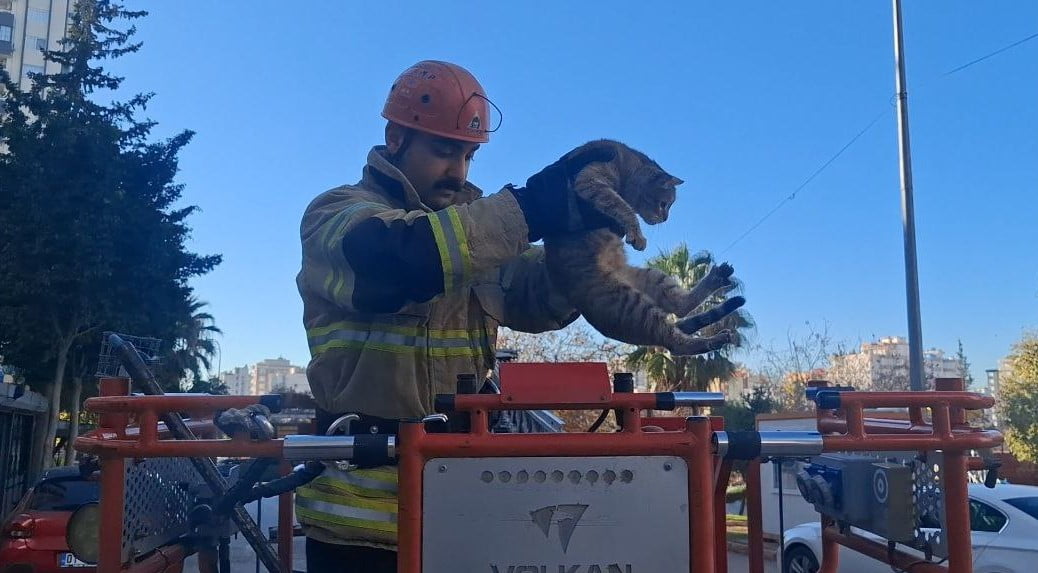 ADANA’DA KÖPEKTEN KAÇAN KEDİ AĞAÇTA 3 GÜN MAHSUR KALDI. KEDİ İTFAİYE EKİPLERİ TARAFINDAN...