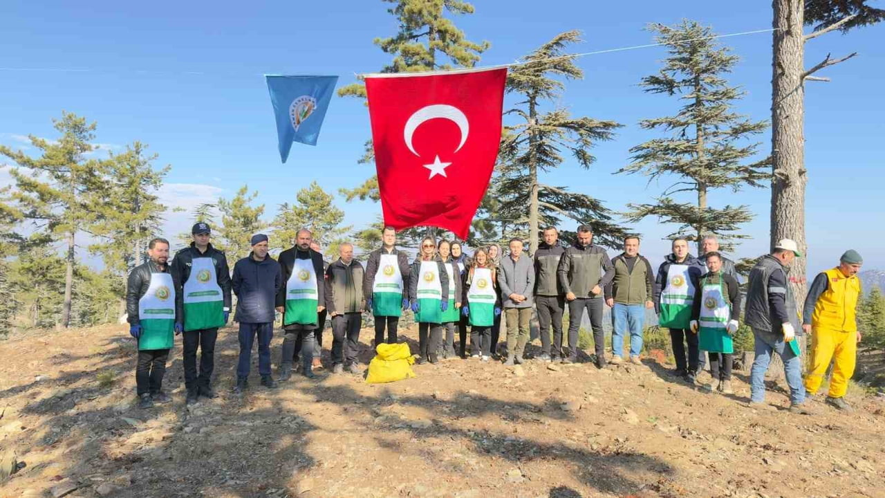 ADANA’NIN FEKE İLÇESİNDE 6 DÖNÜM ALANDA YAKLAŞIK 1 TON SEDİR TOHUMU TOPRAKLA BULUŞTU.