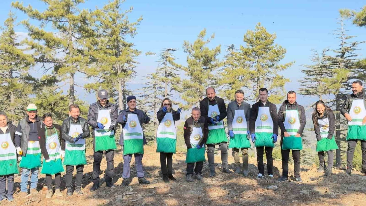 ADANA ORMAN BÖLGE MÜDÜRLÜĞÜ TARAFINDAN ORMANLARIN DOĞAL YOLLA GENÇLEŞTİRİLMESİ ÇALIŞMALARI...