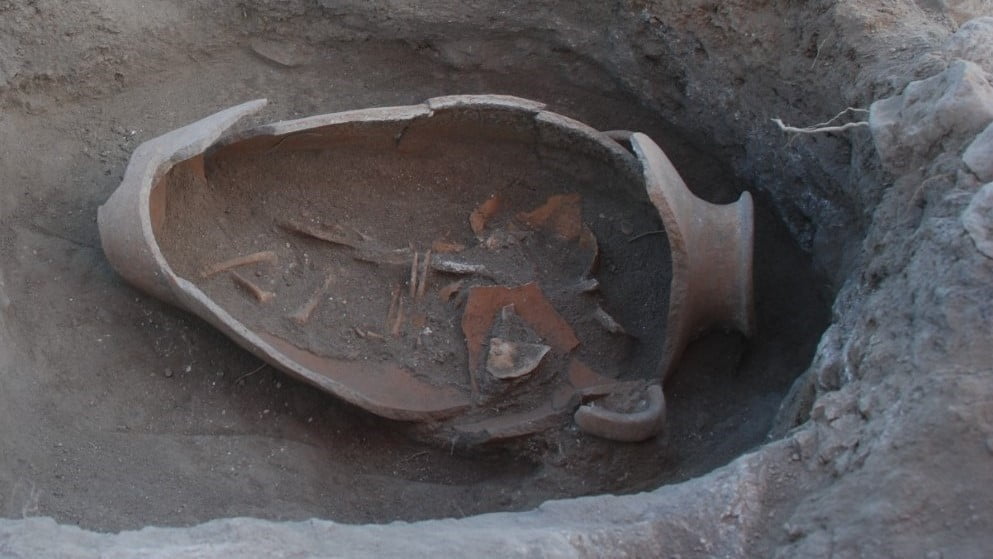 AMASYA’DA SÜREN OLUZ HÖYÜK KAZISINDA ANTİK ÇAĞDA DOĞU AKDENİZ'DEN TÜM AKDENİZ KIYILARINA YAYILAN...