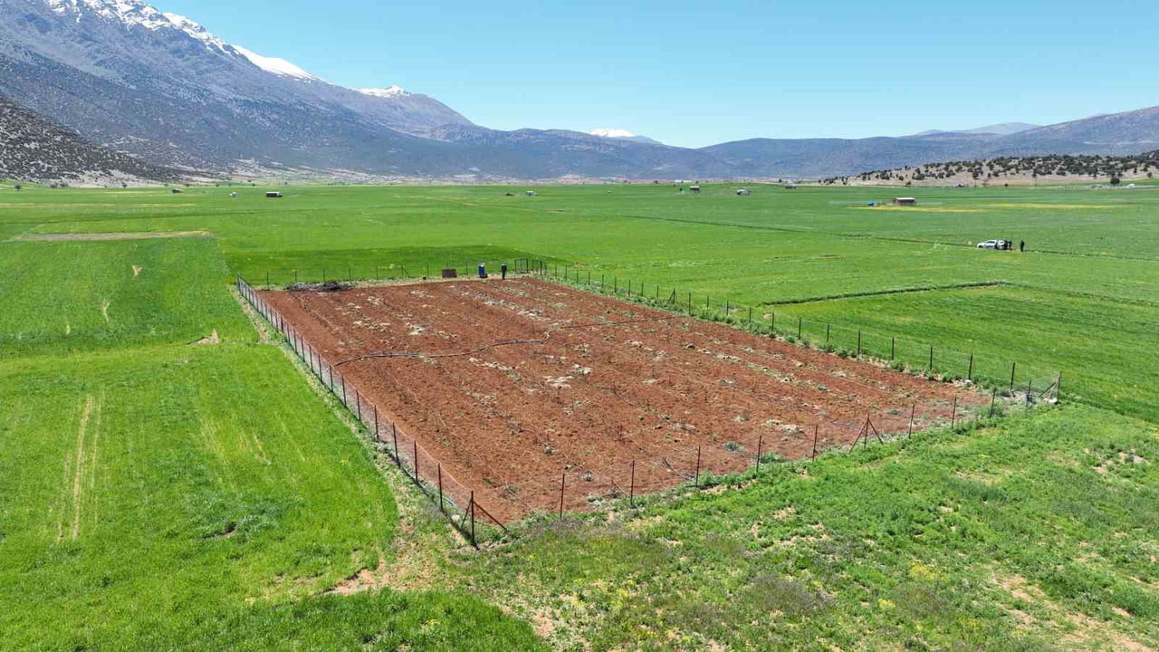 ANTALYA BÜYÜKŞEHİR BELEDİYESİ YERELDEN KALKINMA HEDEFLERİ DOĞRULTUSUNDA ÇİFTÇİLERE TARIMSAL SULAMA...