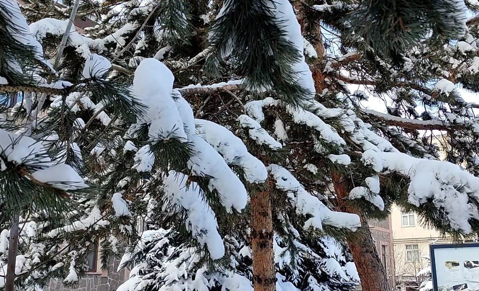 ARDAHAN’DA GECE SAATLERİNDE ETKİLİ OLAN KAR YAĞIŞININ ARDINDAN KENT GENELİNDE BEYAZ ÖRTÜ...