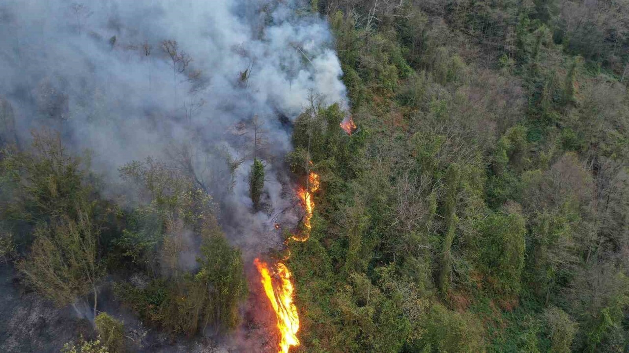 ARTVİN’İN HOPA İLÇESİ YOLDERE VE BAŞOBA KÖYLERİ ARASINDA ÇIKAN VE ORMANLIK ALANA SIÇRAYAN YANGIN...